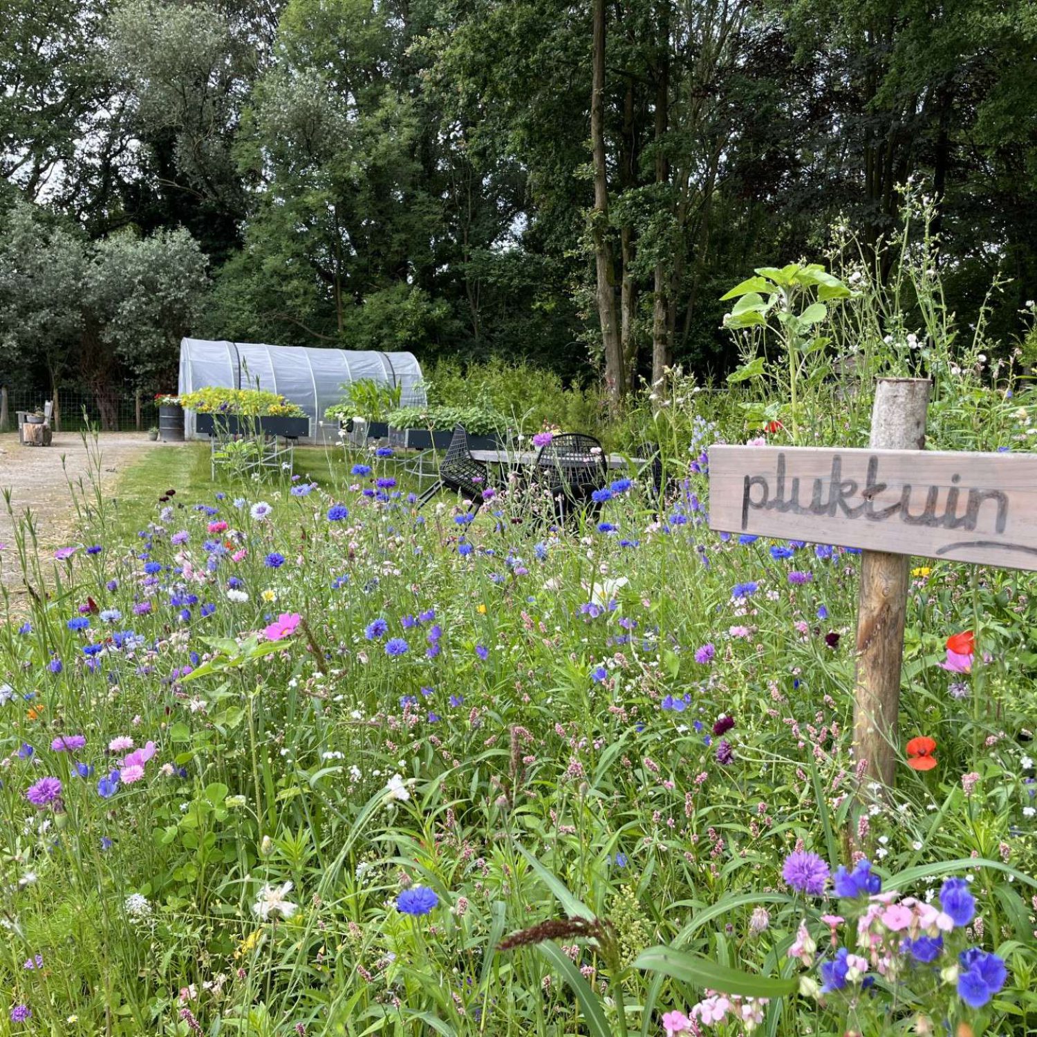 Zorgboerderij Ons Thuis, dagbesteding Schijndel