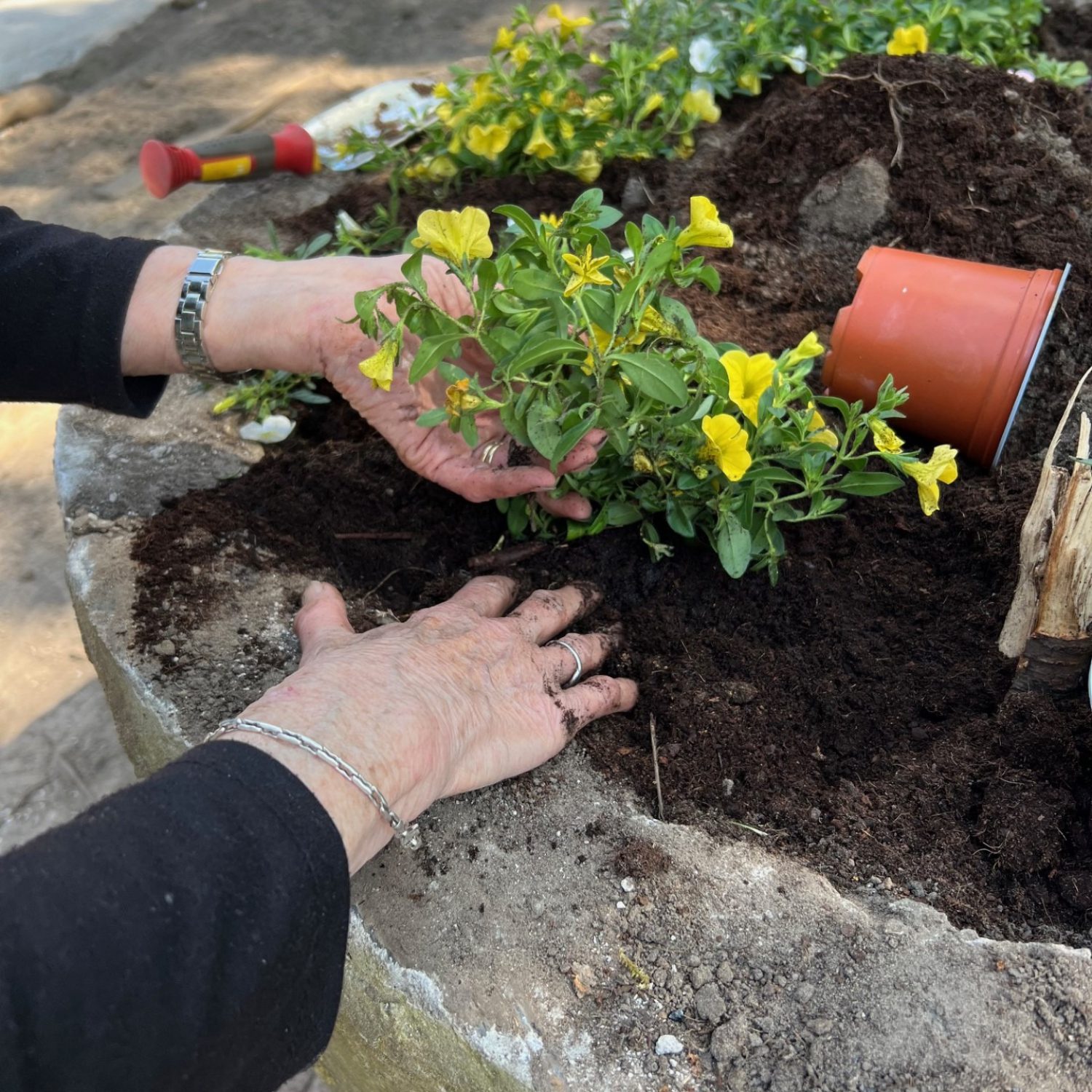 thumbnail_image0 (1)